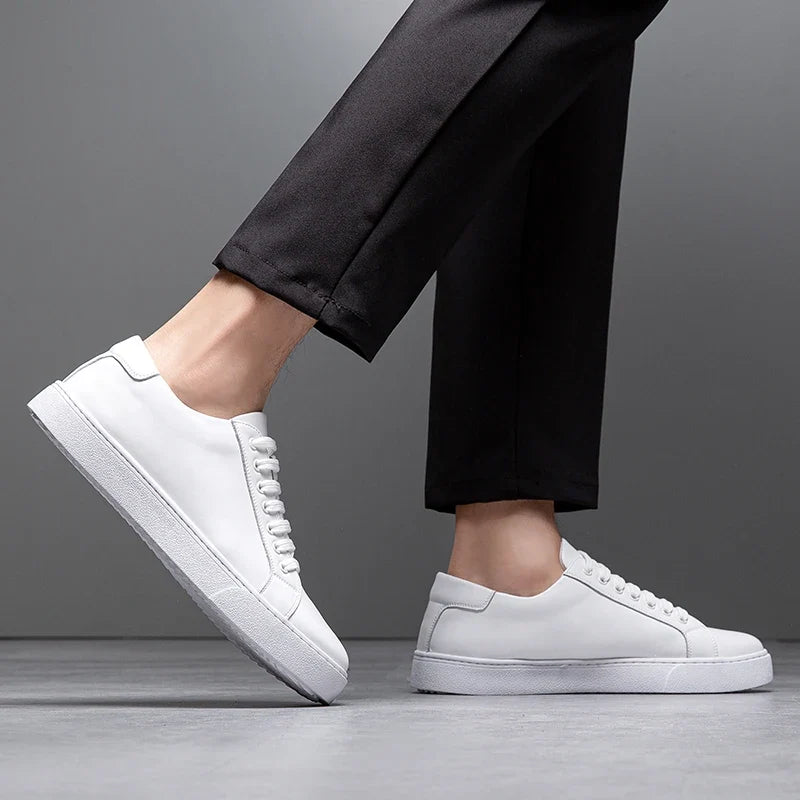 Hanley Leather Shoes